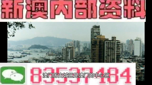 澳门精准挂牌之旅，四肖的神秘与友情的温暖相伴